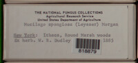 Image Associated With the Occurence